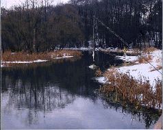 За щукой по малым водоёмам pic_4.jpg