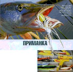 За щукой по малым водоёмам pic_15.jpg