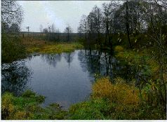 За щукой по малым водоёмам pic_32.jpg