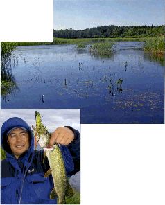 За щукой по малым водоёмам pic_38.jpg