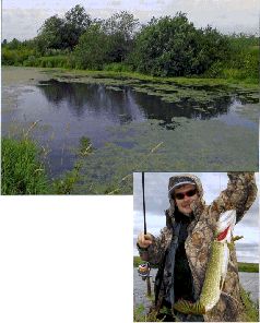 За щукой по малым водоёмам pic_39.jpg