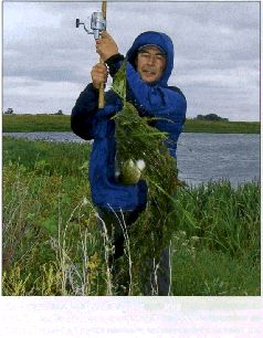 За щукой по малым водоёмам pic_41.jpg