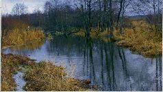 За щукой по малым водоёмам pic_51.jpg