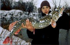 За щукой по малым водоёмам pic_64.jpg