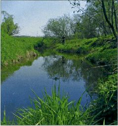 За щукой по малым водоёмам pic_81.jpg