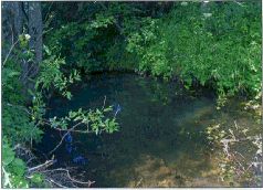 За щукой по малым водоёмам pic_83.jpg