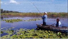 За щукой по малым водоёмам pic_96.jpg
