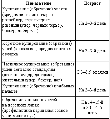 Воспитание щенка i_007.png