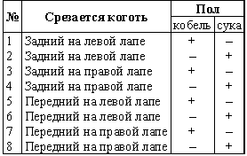 Воспитание щенка i_002.png