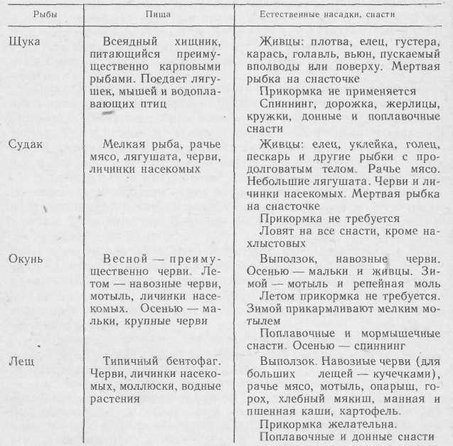 Удильщику i_040.jpg