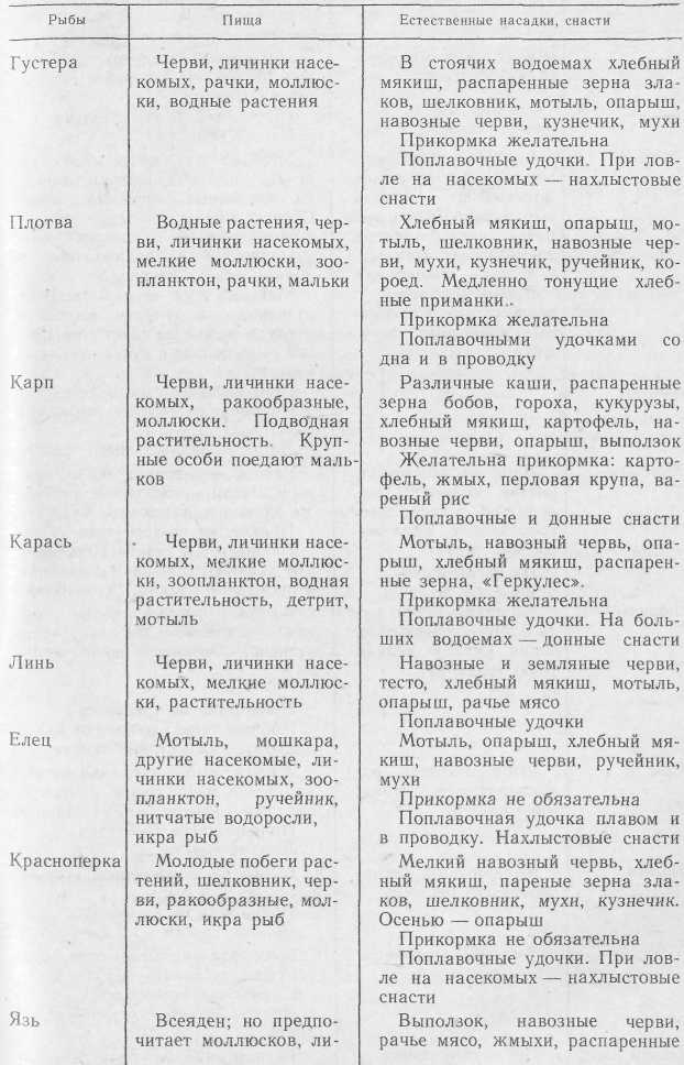 Удильщику i_041.jpg