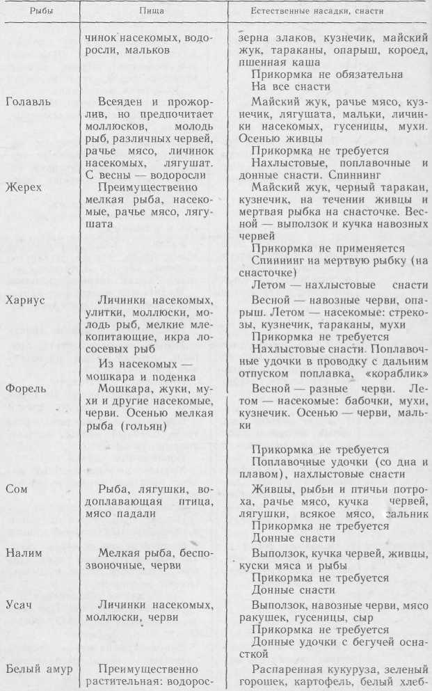 Удильщику i_042.jpg