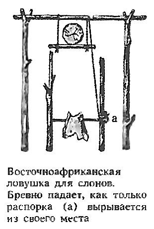 Континент коротких теней i_105.jpg