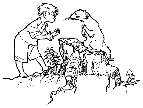 Волшебный берег (с илл.) pic_4.png