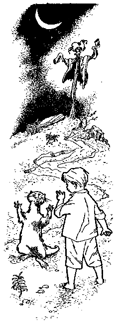 Волшебный берег (с илл.) pic_12.png