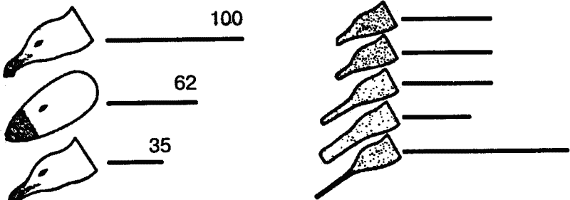 Основы зоопсихологии i_008.png