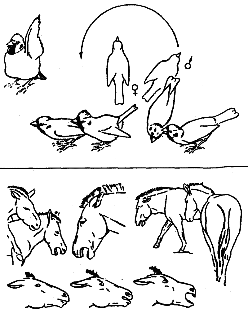 Основы зоопсихологии i_012.png