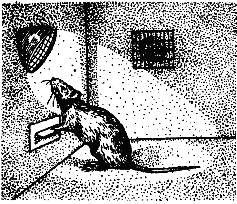 Основы зоопсихологии i_013.png