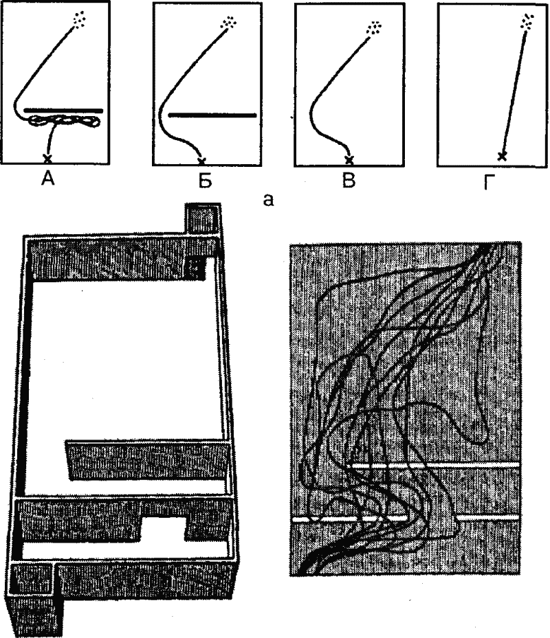 Основы зоопсихологии i_017.png