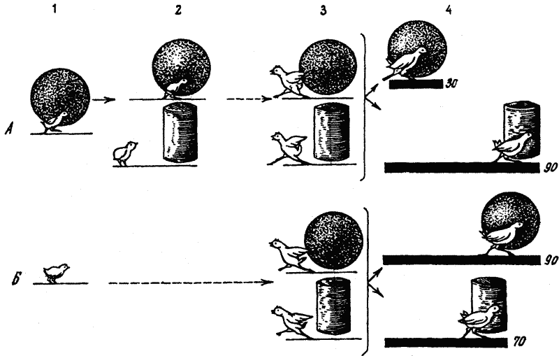 Основы зоопсихологии i_023.png