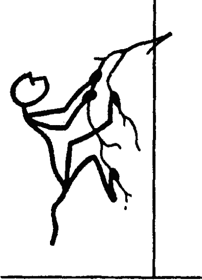Основы зоопсихологии i_025.png