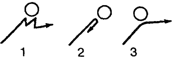 Основы зоопсихологии i_029.png