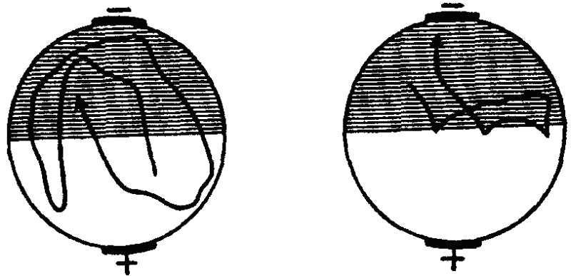 Основы зоопсихологии i_033.png