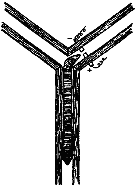 Основы зоопсихологии i_036.png