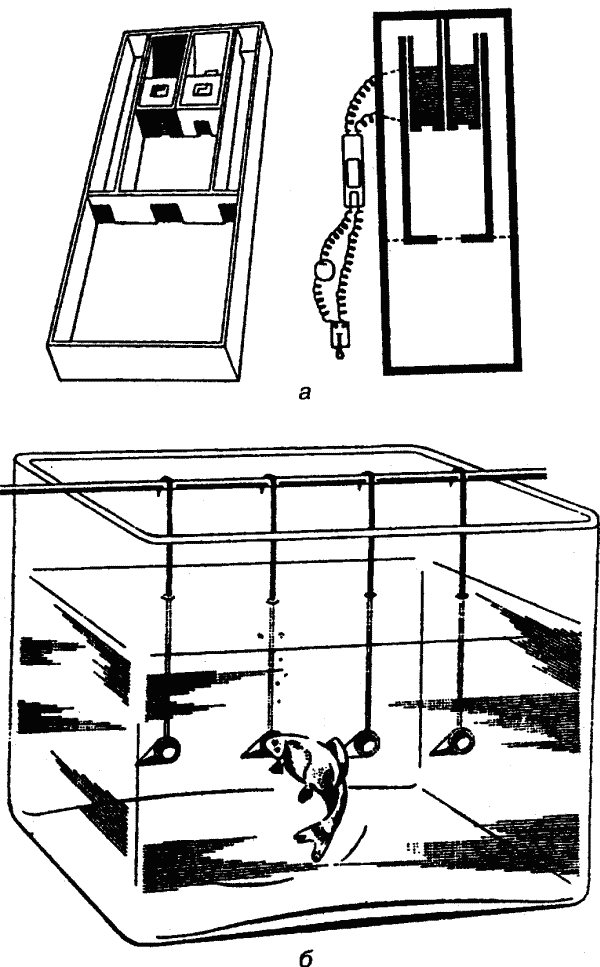 Основы зоопсихологии i_004.png