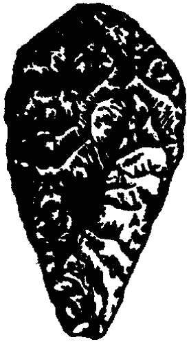 Основы зоопсихологии i_052.png