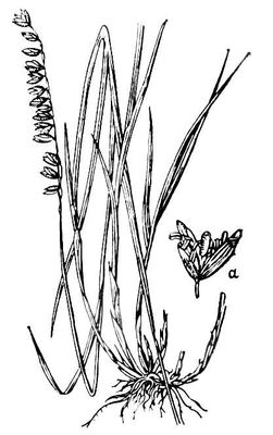 Большая Советская Энциклопедия (ПЕ) i009-001-243839658.jpg