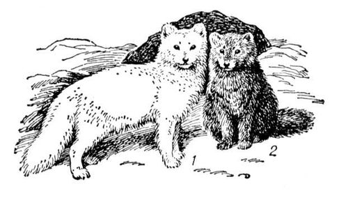 Большая Советская Энциклопедия (ПЕ) i009-001-238063765.jpg