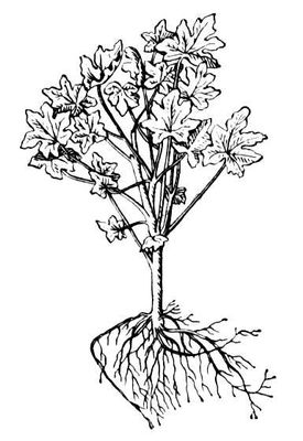Большая Советская Энциклопедия (ПЕ) i009-001-212375681.jpg