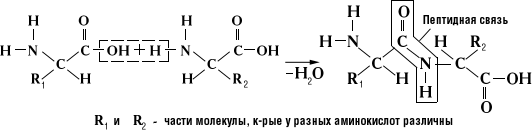 Большая Советская Энциклопедия (ПЕ) i-images-140993175.png
