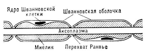 Большая Советская Энциклопедия (НЕ) i010-001-286052054.jpg