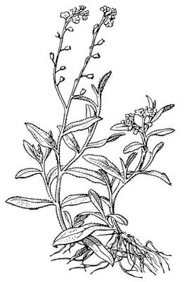Большая Советская Энциклопедия (НЕ) i009-001-233885183.jpg