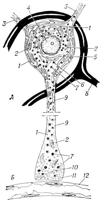 Большая Советская Энциклопедия (НЕ) i010-001-249661159.jpg