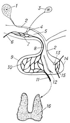Большая Советская Энциклопедия (НЕ) i010-001-270936004.jpg