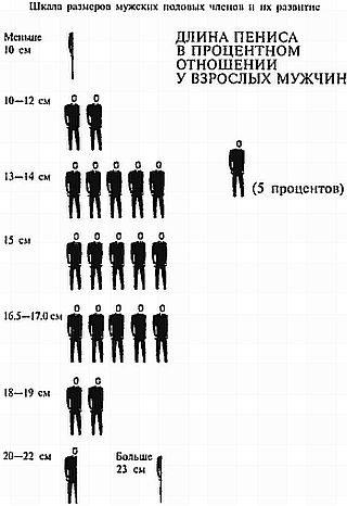 Как увеличить размеры мужского полового члена i_011.jpg