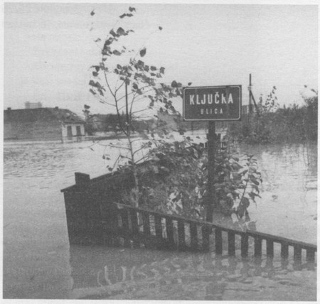 Вода, павутина i_003.jpg