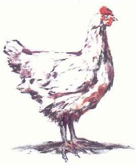 Абарат: Первая книга часов abarat_Page_033.jpg