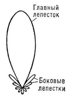 Большая Советская Энциклопедия (ИЗ) i008-pictures-001-296899102.jpg
