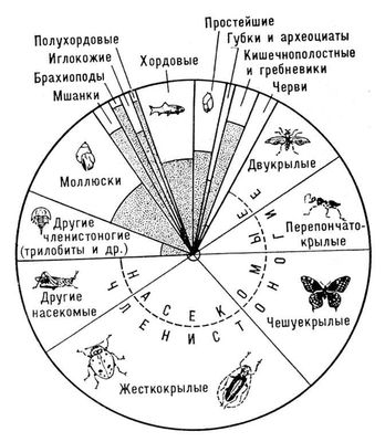 Большая Советская Энциклопедия (ИС) i009-001-231498723.jpg
