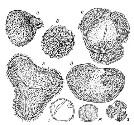 Большая Советская Энциклопедия (ИС) i009-001-235005735.jpg