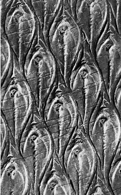 Большая Советская Энциклопедия (ИС) i010-001-245078222.jpg