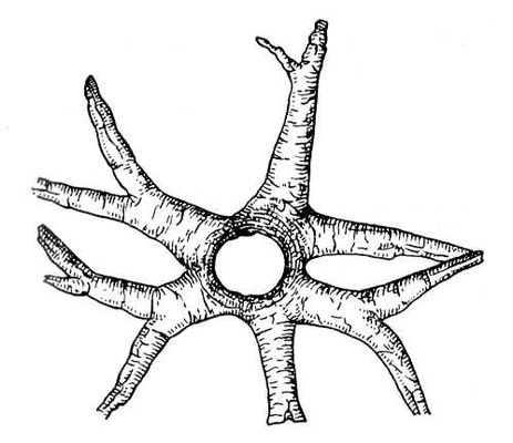 Большая Советская Энциклопедия (ИС) i010-001-273000208.jpg