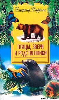 Птицы, звери и родственники pzr.jpg