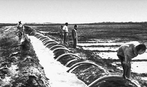 Большая Советская Энциклопедия (ЭФ) i010-001-274060404.jpg
