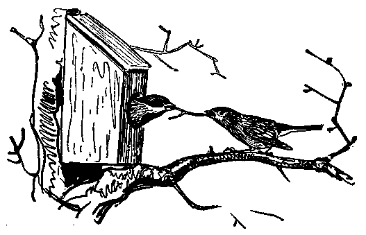 Уличный певец (сборник) pic_3.png