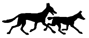 Уличный певец (сборник) pic_8.png